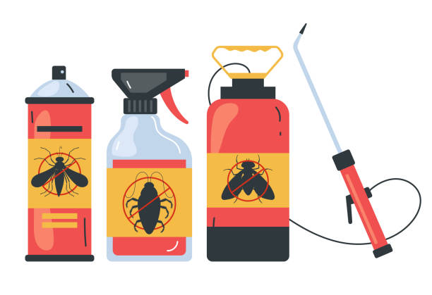 Professional Pest Control in Galena Park, TX